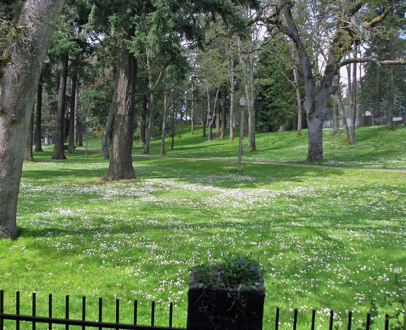 Parque con árboles y pasto, ideal para actividades al aire libre